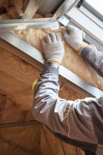 Best Energy-efficient Insulation  in Craig Beach, OH