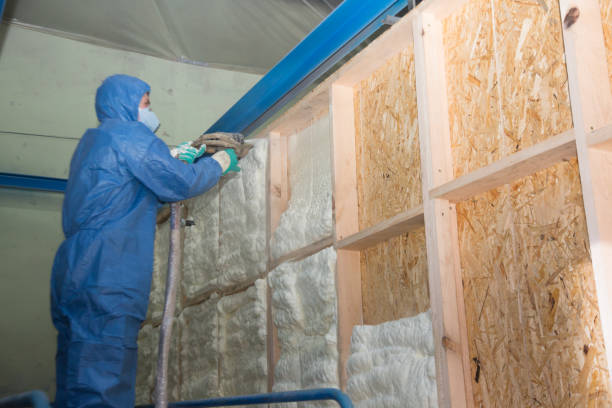 Best Insulation Repair Services  in Craig Beach, OH